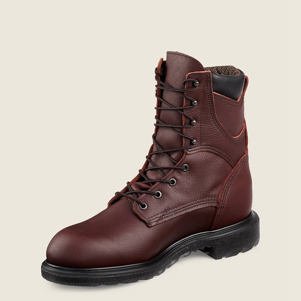 Botas de Trabajo Red Wing Hombre Vino - Supersole® 2.0 - 8-Inch Insulated Waterproof Soft Toe - 209-